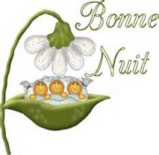 "Bonjour / Bonsoir" !!! - Page 3 4098868977